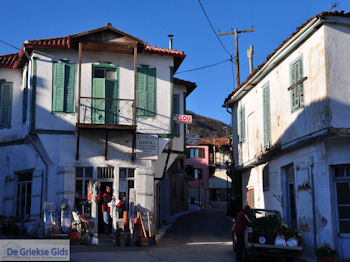 Arnaia (Arnea) foto 17 | Athos gebied Chalkidiki | Griekenland - Foto van https://www.grieksegids.nl/fotos/griekse-gidsnl/chalkidiki350/athos-gebied-chalkidiki-044.jpg