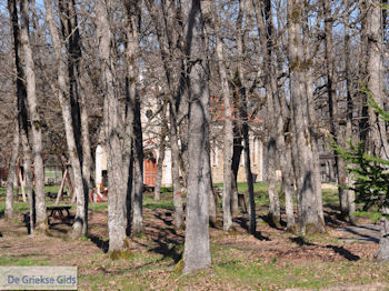 Park Arnaia | Athos gebied Chalkidiki | Griekenland - Foto van https://www.grieksegids.nl/fotos/griekse-gidsnl/chalkidiki350/athos-gebied-chalkidiki-083.jpg