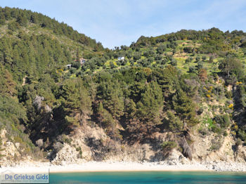 De Heilige Berg Athos foto 7 | Athos gebied Chalkidiki | Griekenland - Foto van https://www.grieksegids.nl/fotos/griekse-gidsnl/chalkidiki350/athos-gebied-chalkidiki-124.jpg