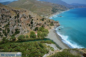 Preveli beach Kreta - Departement Rethymnon - Foto 16 - Foto van De Griekse Gids