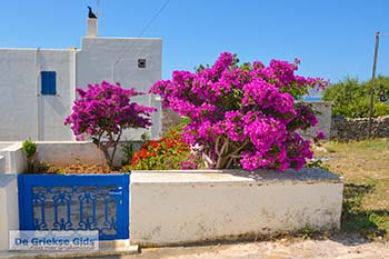 Kythira Ionische eilanden - Foto van https://www.grieksegids.nl/fotos/kythira/normaal/kythira-017.jpg