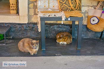 Paxos Paxi Ionische eilandenGriekenland - Foto van https://www.grieksegids.nl/fotos/paxos-paxi/normaal/paxos-paxi-griekenland-014.jpg